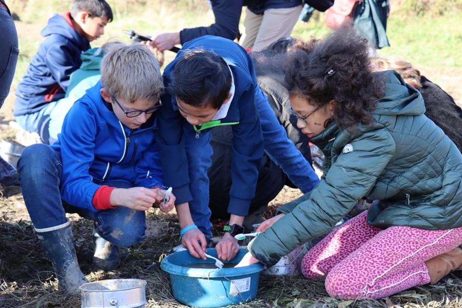 Bericht School bezoekt de archeologische vindplaats Kersenweide   bekijken